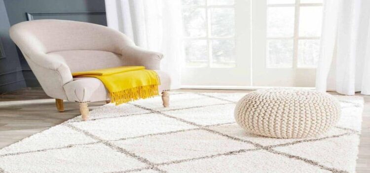 The Comfort of Shaggy Rugs, why you choose them