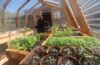 greenhouses for cold climates