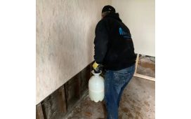 mold testing