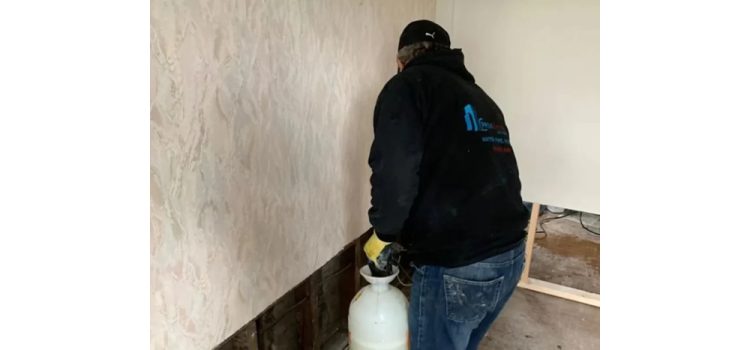 mold testing